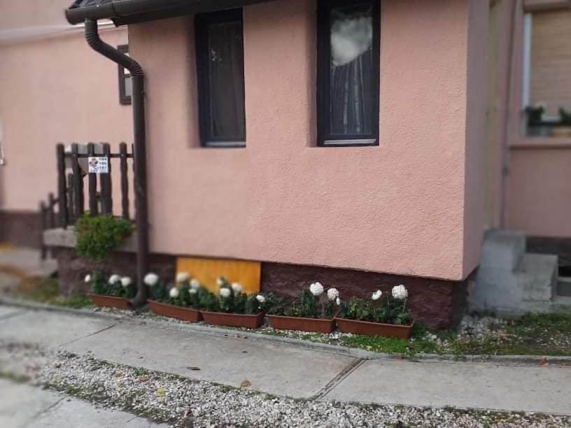 Pihenes A Malomtonal Privat Berlemeny Pensionat Tapolca Exteriör bild